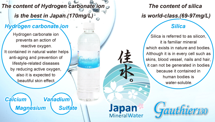 ゴティエ130とは
